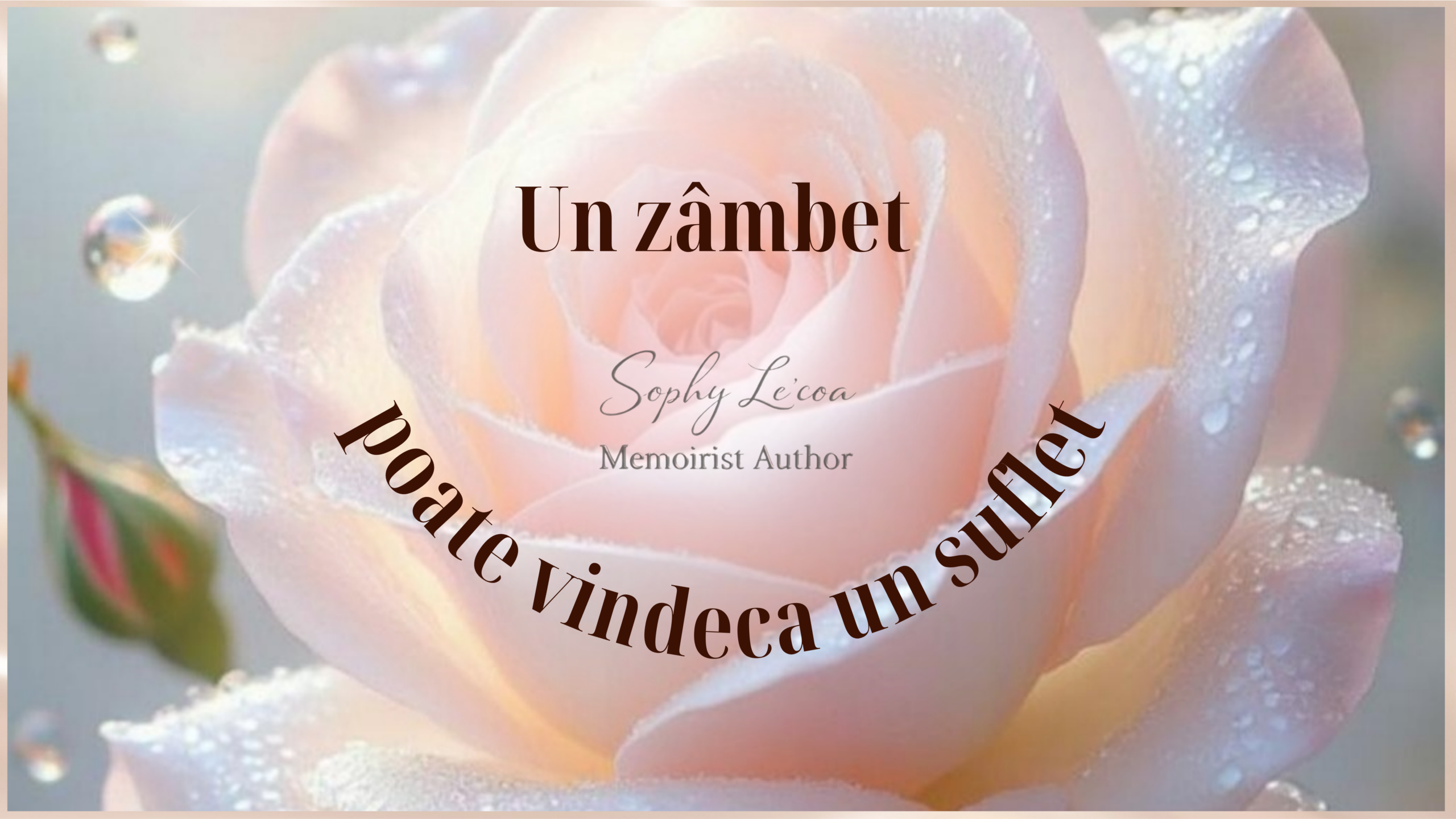 Un trandafir delicat cu picături de rouă, simbol al ideii că un zâmbet poate vindeca un suflet. Imagine inspirațională de autoarea Sophy Le’coa.