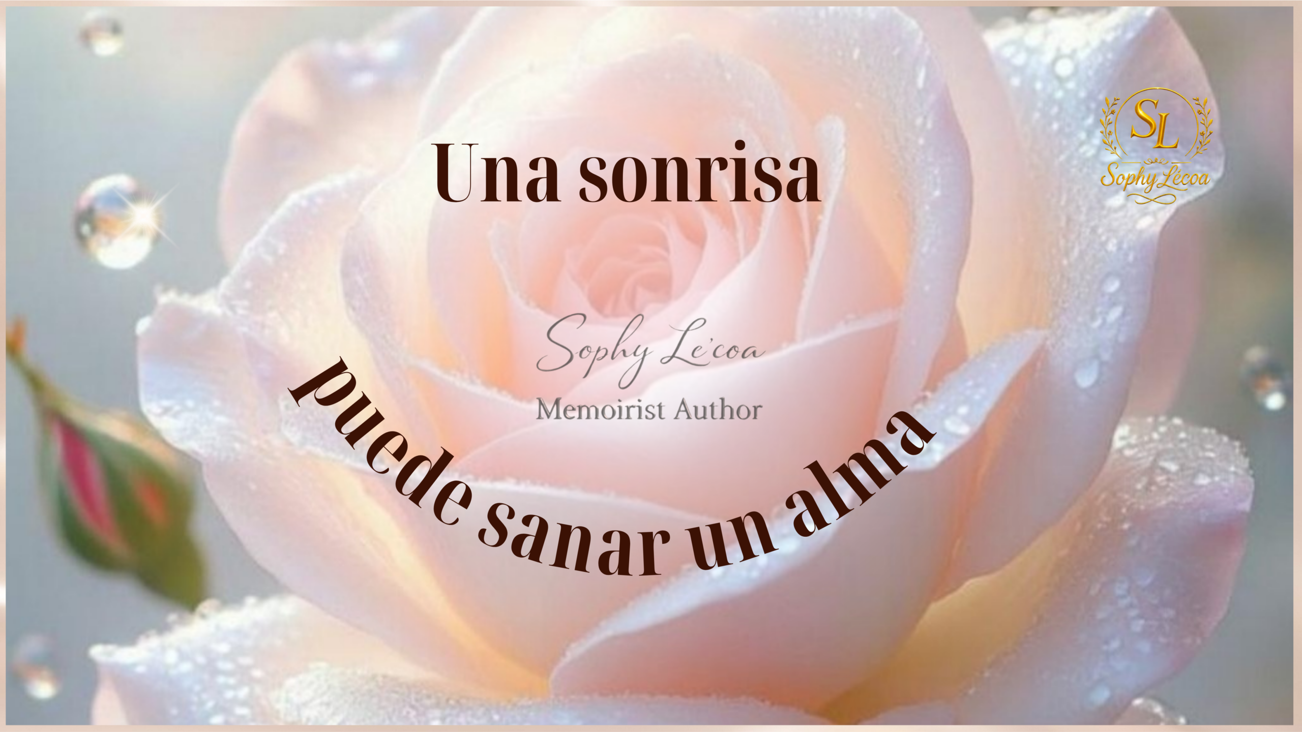 Una rosa suave cubierta de rocío, símbolo de cómo una sonrisa puede sanar el alma. Imagen inspiradora de la autora Sophy Le’coa.